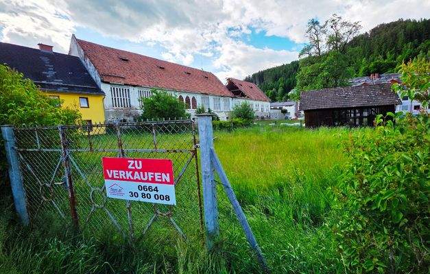 Bild 7