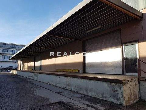 München Halle, München Hallenfläche