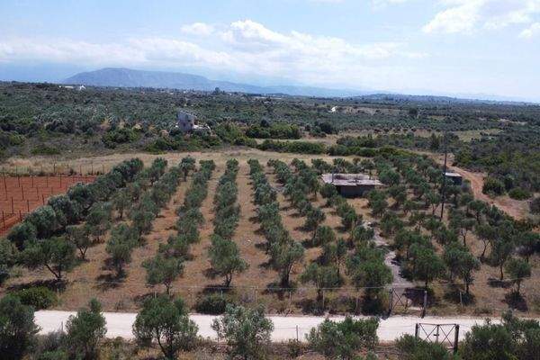 Kreta, Mouzouras: Flaches Grundstück mit Panoramablick zu verkaufen