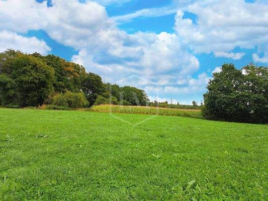 Grün- und Ackerland