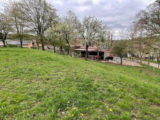 Eine Weide mit Offenstall