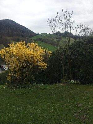 Blick von der Terrasse