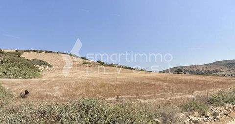 Kampos, Antiparos Bauernhöfe, Landwirtschaft, Kampos, Antiparos Forstwirtschaft