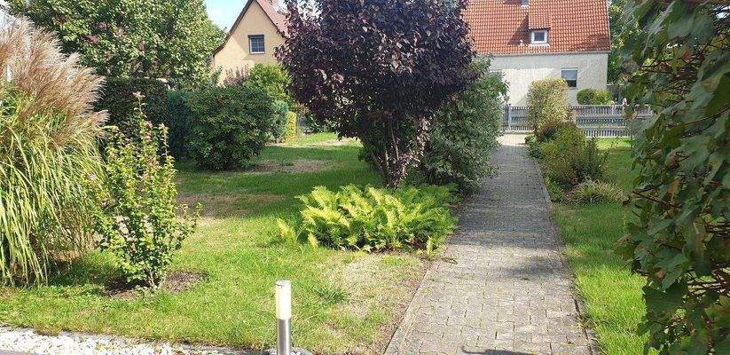 Gepflasterter Weg.jpg