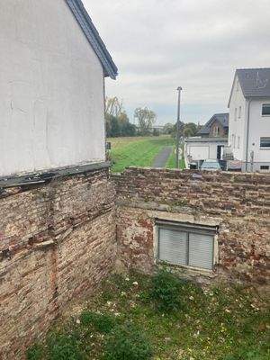 Front Rheinwiesen.jpg