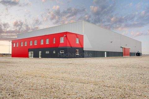 Bamberg Halle, Bamberg Hallenfläche