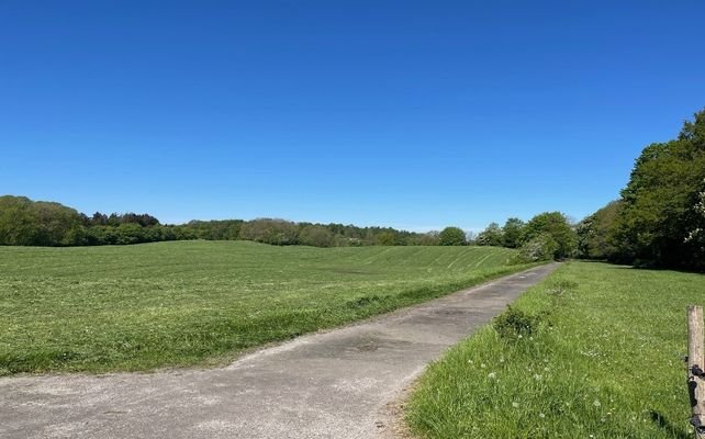 Blick auf das Grundstück