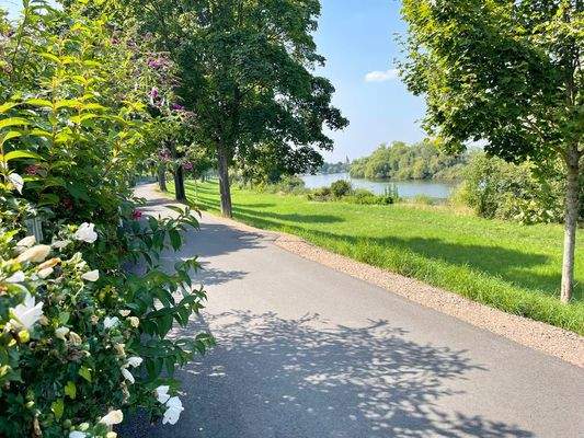 der Main in wenigen Schritten erreichbar