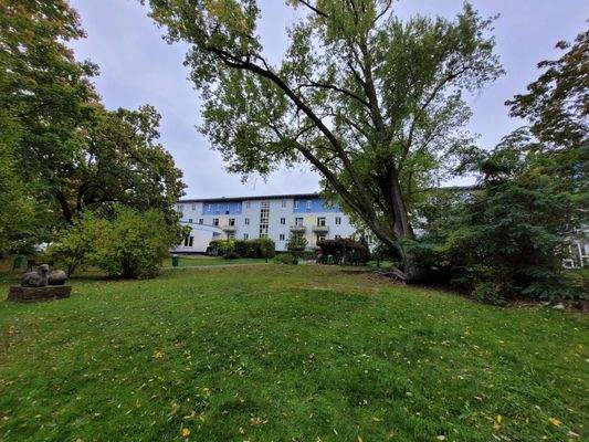 20251007_115912_resized