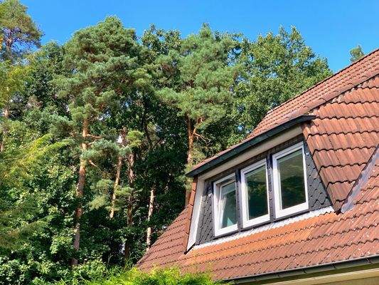 Neuer Dachstuhl 1998