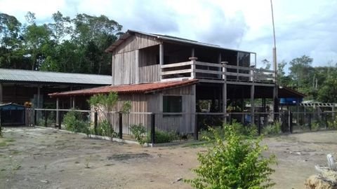 Manaus Häuser, Manaus Haus kaufen
