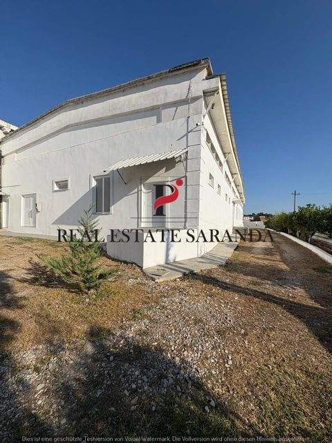 Delvine Halle, Delvine Hallenfläche