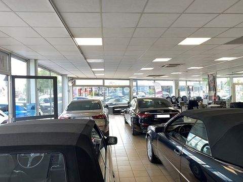 Hamburg Halle, Hamburg Hallenfläche