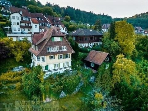 Calw Wohnungen, Calw Wohnung kaufen