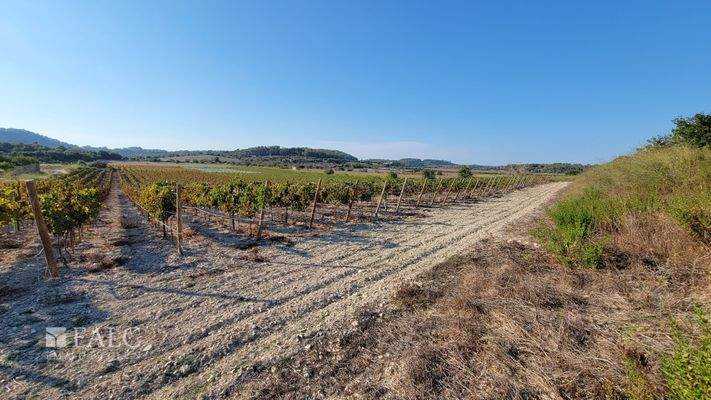 Baugrundstueck Porreres mit Weinberg 