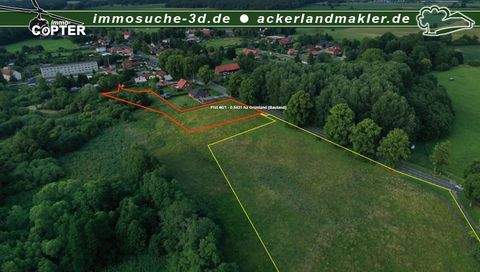 Wittenburg / Boddin Bauernhöfe, Landwirtschaft, Wittenburg / Boddin Forstwirtschaft