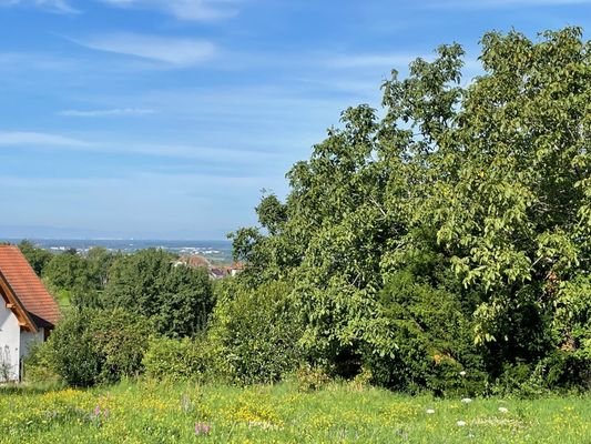 Grundstück mit Aussicht