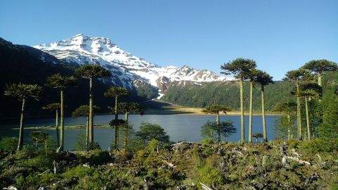 Curacautin Grundstücke, Curacautin Grundstück kaufen