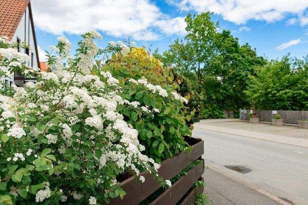 Umgebung_Bischofsweiherstr (1).jpg