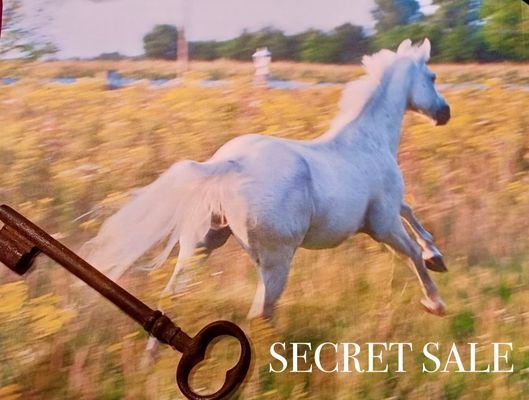 SECRET SALE 3