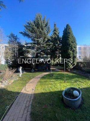 Sonnige Gartenfläche