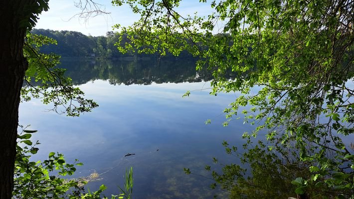 Blick auf den See