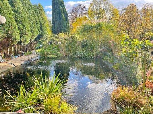 mit u. a. Schwimmteich