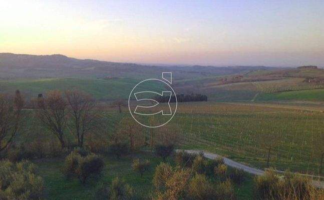 Wunderschönes Anwesen | Montepulciano