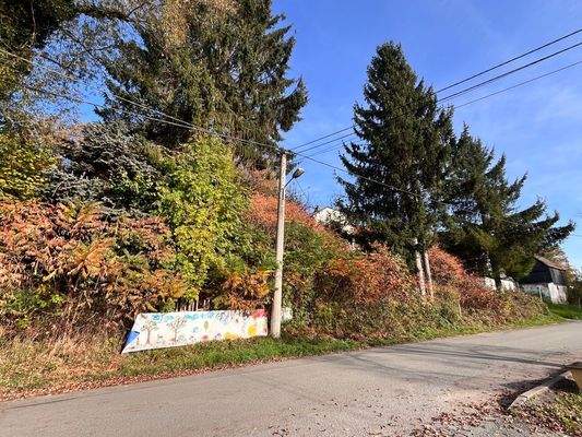 2024-3345-Vorderseite-II