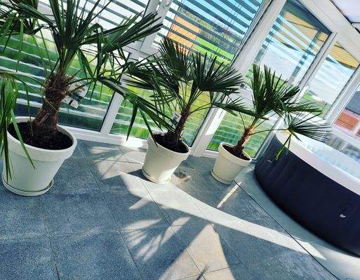 Wintergarten im Sommer