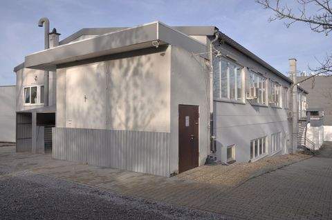 Pforzheim Halle, Pforzheim Hallenfläche