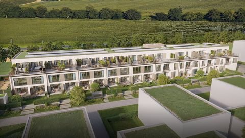 Freising Häuser, Freising Haus kaufen