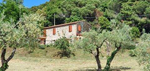 Riparbella Häuser, Riparbella Haus kaufen