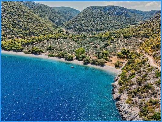 b944037602594e6ba40cc901bea8bf1a-original