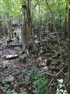 Immagine WhatsApp 2023-11-09 ore 14.26.00_2f3b24b3