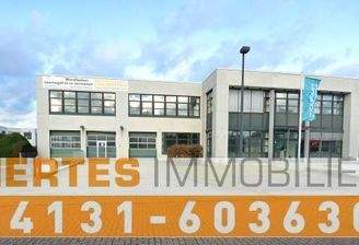 Mertes Immobilien 6