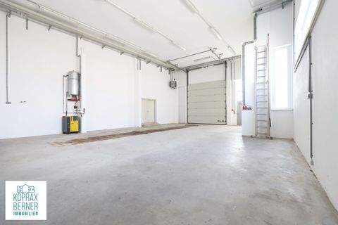 Pyhra Halle, Pyhra Hallenfläche