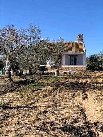 Rociana del Condado Häuser, Rociana del Condado Haus kaufen