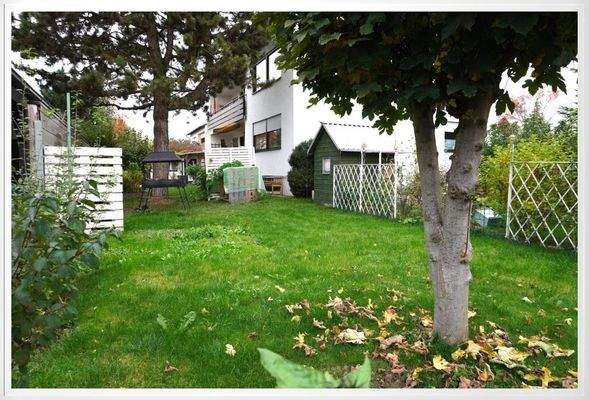 großer sonniger Garten