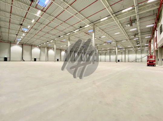 INFOS UNTER: 06171-586000