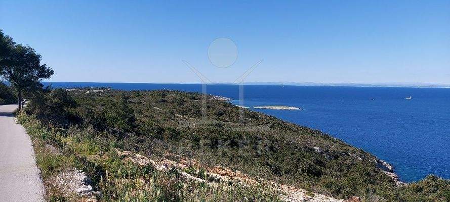 Die asphaltierte Zufahrtstraße