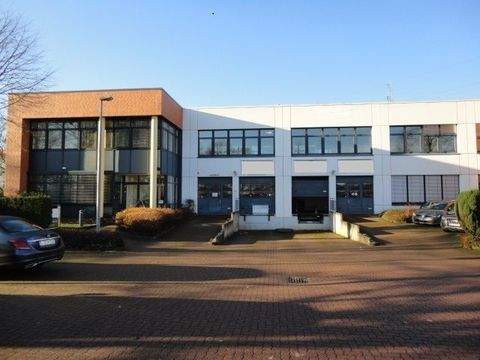 Oststeinbek Halle, Oststeinbek Hallenfläche