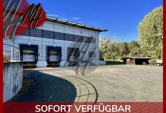 INFOS UNTER: 06171-586000