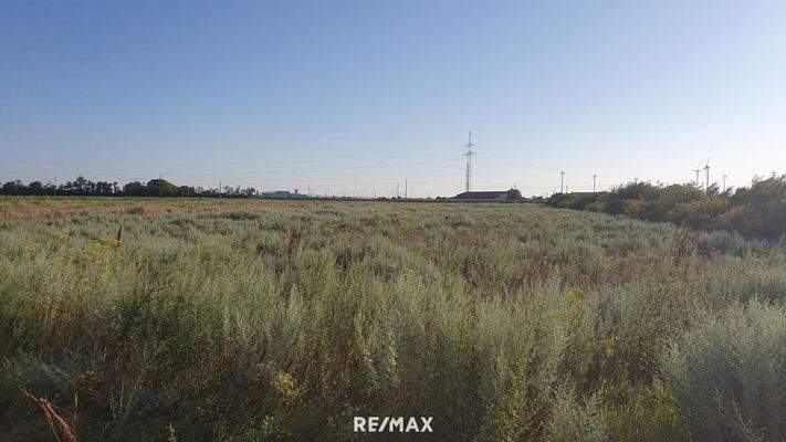 1. Landwirtschaftlicher Grund