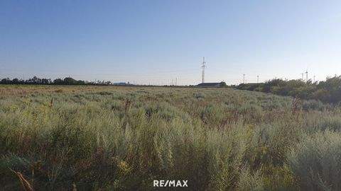 Neusiedl am See Grundstücke, Neusiedl am See Grundstück kaufen