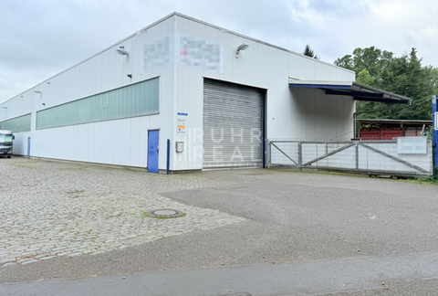 Köln Halle, Köln Hallenfläche