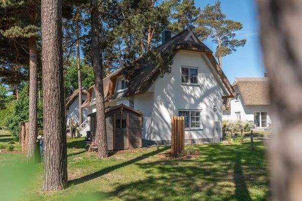 Außenansicht mit Gartenhaus.jpg