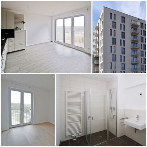 Freising Wohnungen, Freising Wohnung mieten