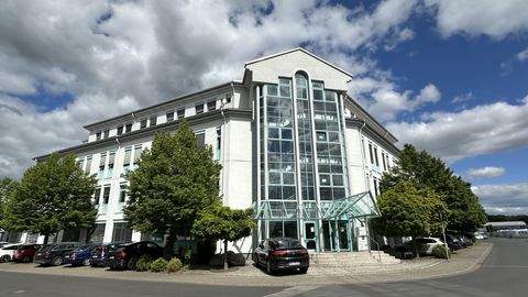 Maintal Halle, Maintal Hallenfläche