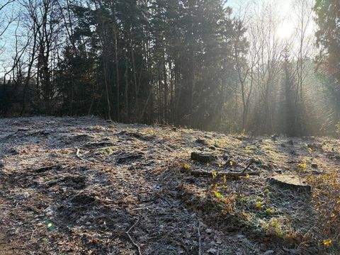 Burgthann Grundstücke, Burgthann Grundstück kaufen